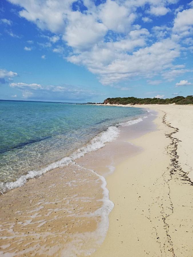 Finestre Sul Mare Salento - Casavacanza Ferienhaus *