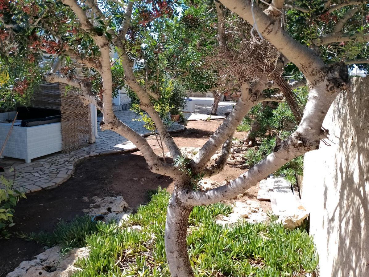 Ferienhaus Finestre Sul Mare Salento - Casavacanza