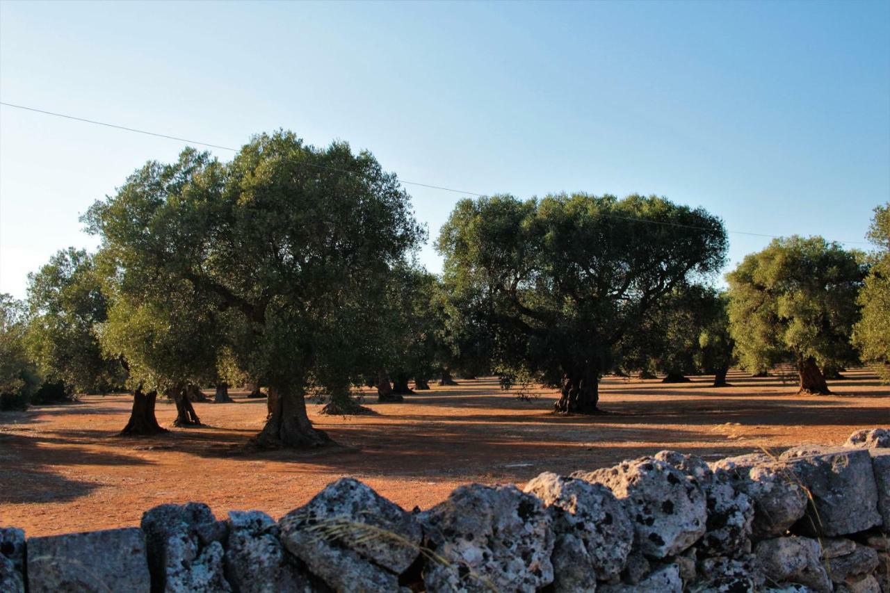 Finestre Sul Mare Salento - Casavacanza