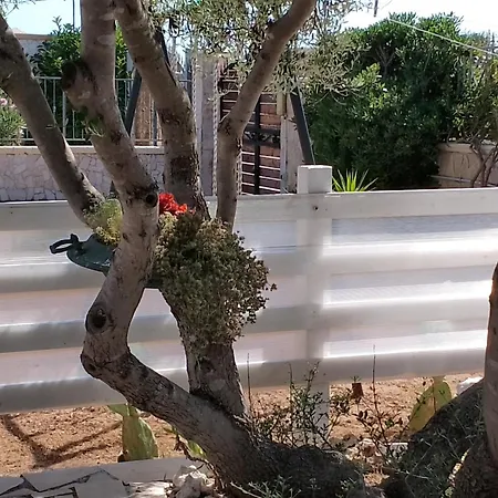 Finestre Sul Mare Salento - Casavacanza Punta Prosciutto Quarto foto