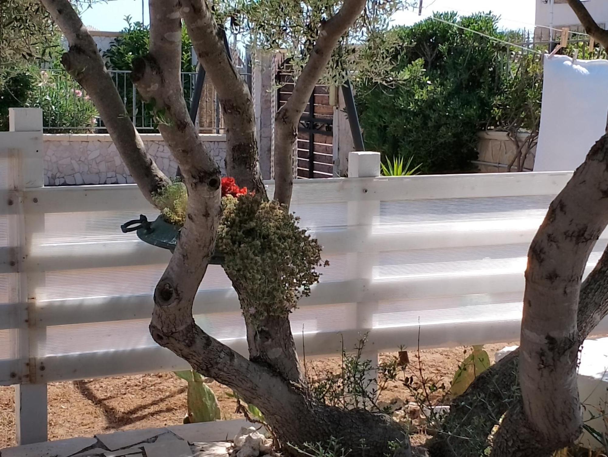 Сasa de vacaciones Finestre Sul Mare Salento - Casavacanza Punta Prosciutto