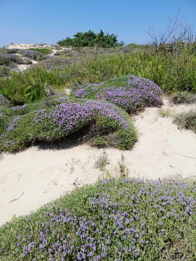 Сasa de vacaciones Finestre Sul Mare Salento - Casavacanza